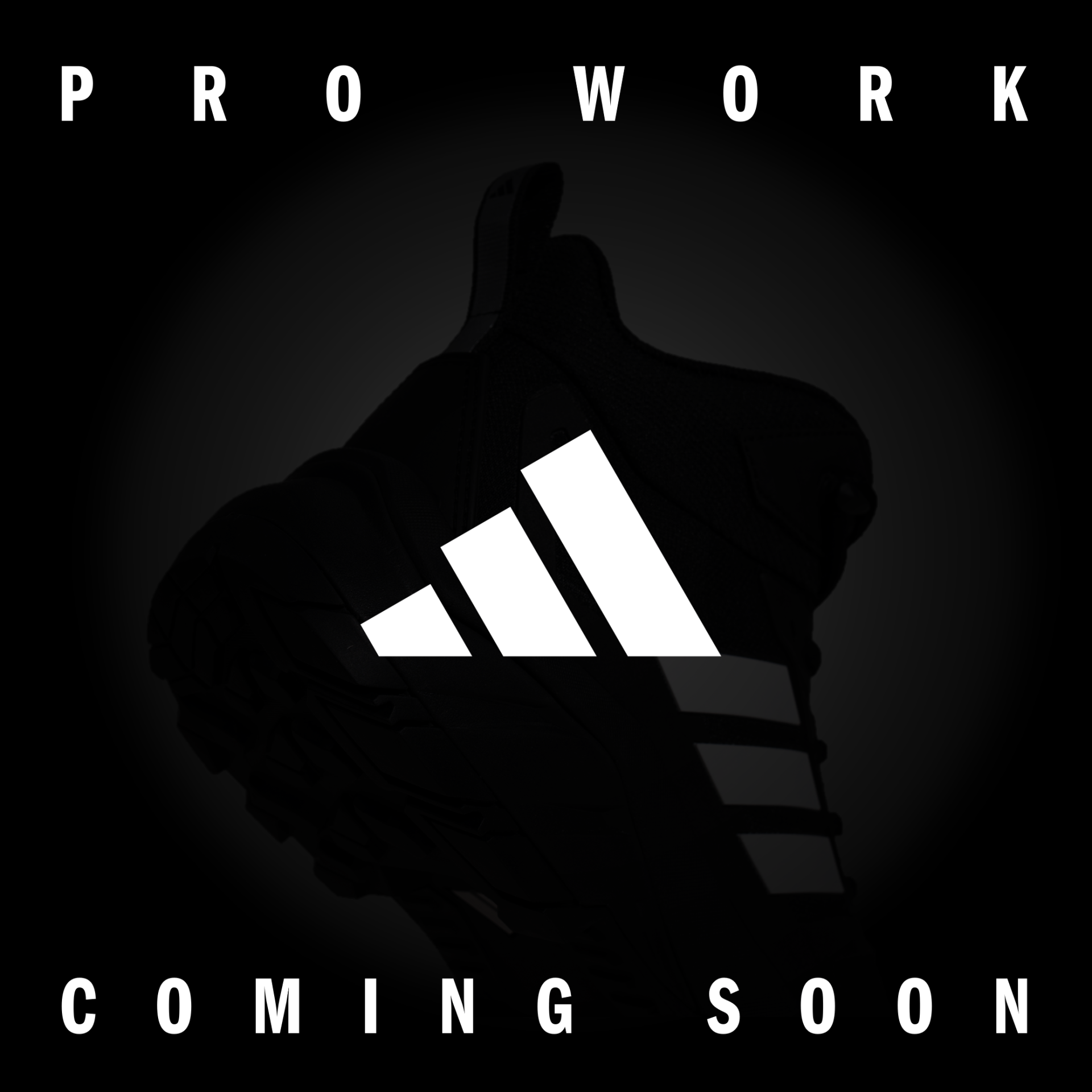 adidas pro work ab sofort bei uns erhältlich